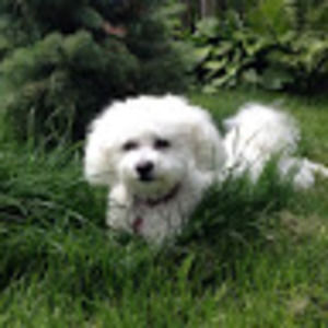 Meet your Posher, Victoria